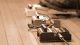 What 5 Pedals Should Every Guitarist Have?